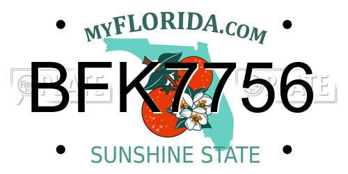 BFK7756 Florida License Plate