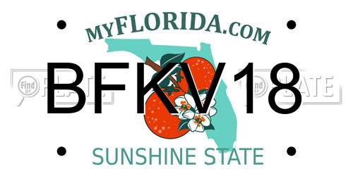 BFKV18 Florida License Plate