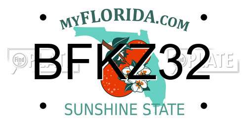 BFKZ32 Florida License Plate