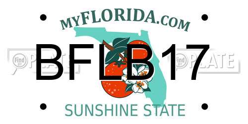 BFLB17 Florida License Plate
