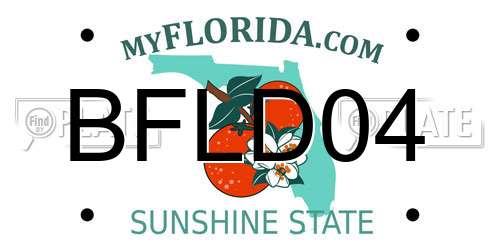 BFLD04 Florida License Plate
