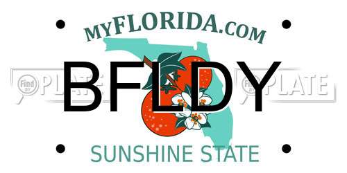 BFLDY Florida License Plate