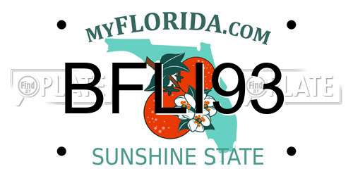 BFLI93 Florida License Plate