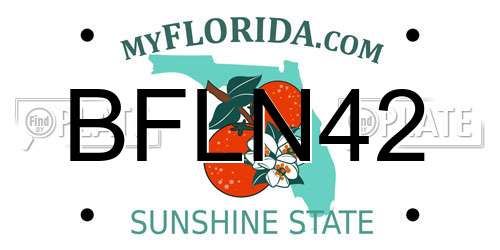 BFLN42 Florida License Plate