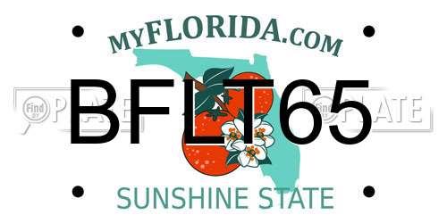 BFLT65 Florida License Plate