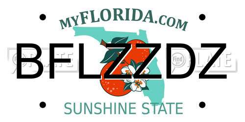 BFLZZDZ Florida License Plate