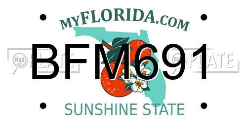 BFM691 Florida License Plate