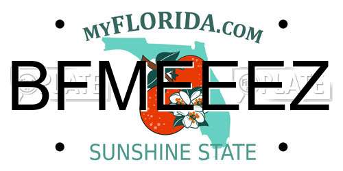 BFMEEEZ Florida License Plate