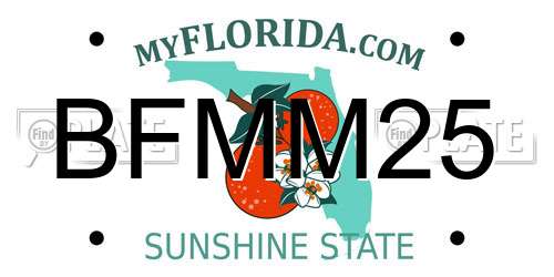 BFMM25 Florida License Plate