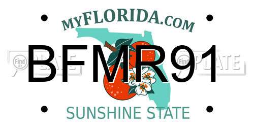 BFMR91 Florida License Plate