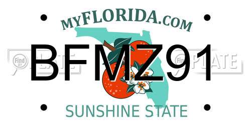 BFMZ91 Florida License Plate