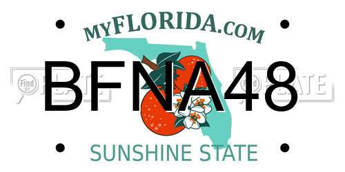 BFNA48 Florida License Plate