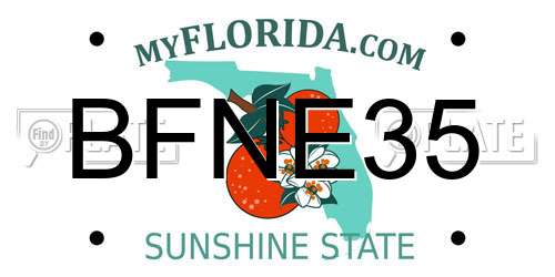 BFNE35 Florida License Plate