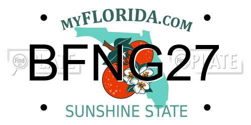 BFNG27 Florida License Plate