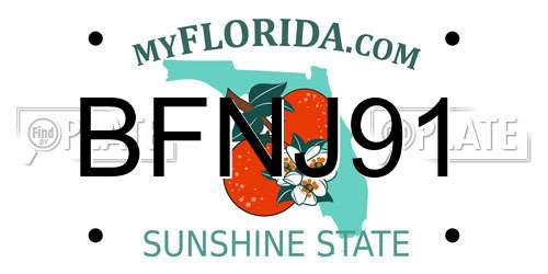BFNJ91 Florida License Plate