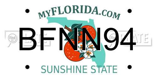 BFNN94 Florida License Plate
