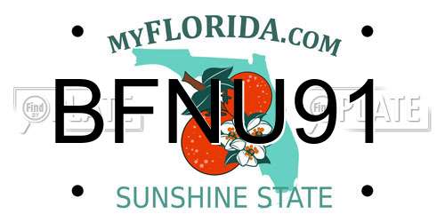 BFNU91 Florida License Plate