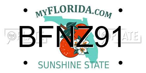 BFNZ91 Florida License Plate