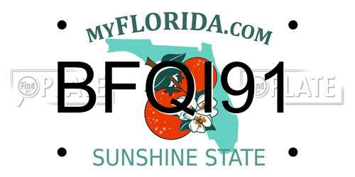 BFQI91 Florida License Plate