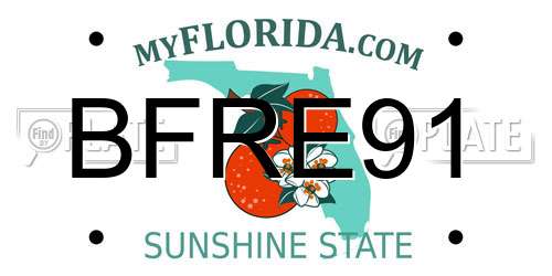 BFRE91 Florida License Plate