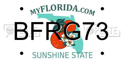 BFRG73 Florida License Plate