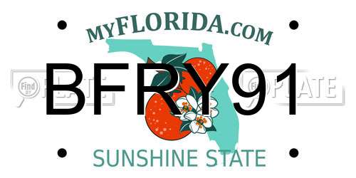 BFRY91 Florida License Plate