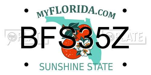 BFS35Z Florida License Plate