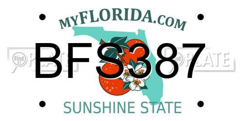 BFS387 Florida License Plate