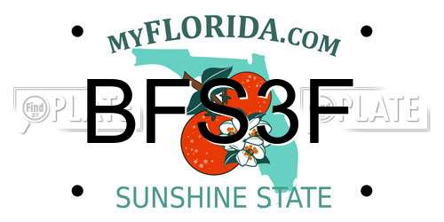 BFS3F Florida License Plate