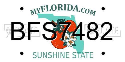 BFS7482 Florida License Plate
