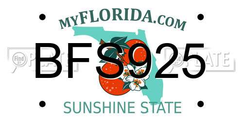 BFS925 Florida License Plate