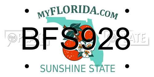 BFS928 Florida License Plate