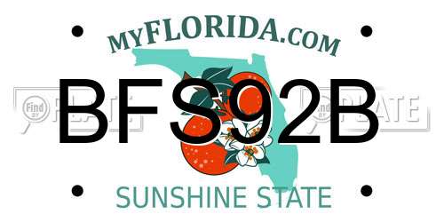 BFS92B Florida License Plate