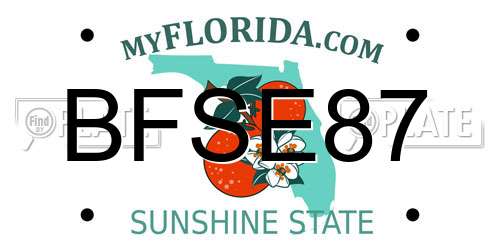 BFSE87 Florida License Plate