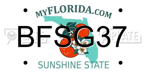 BFSG37 Florida License Plate