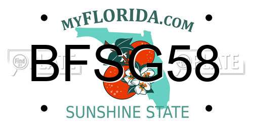 BFSG58 Florida License Plate