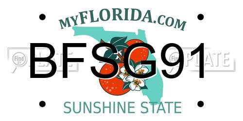 BFSG91 Florida License Plate