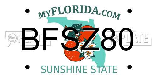 BFSZ80 Florida License Plate