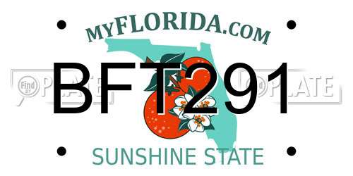 BFT291 Florida License Plate