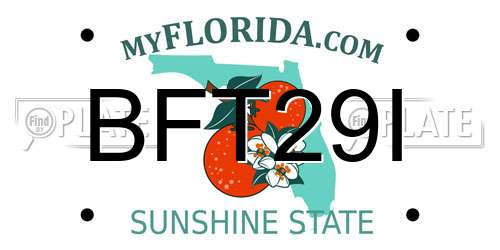 BFT29I Florida License Plate
