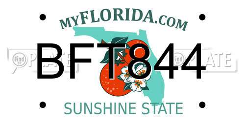 BFT844 Florida License Plate