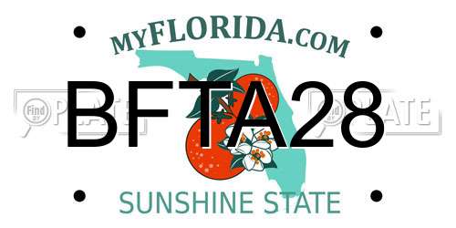 BFTA28 Florida License Plate