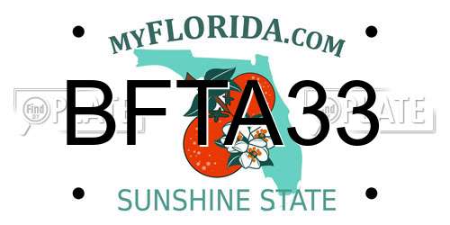 BFTA33 Florida License Plate