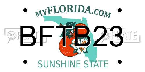 BFTB23 Florida License Plate