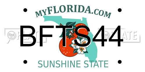BFTS44 Florida License Plate