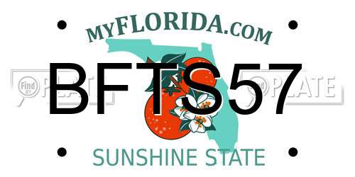 BFTS57 Florida License Plate