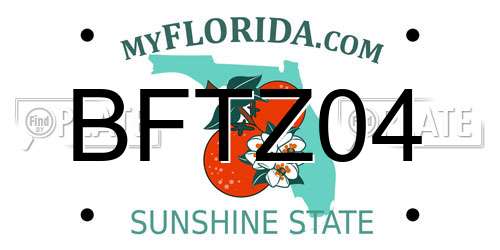 BFTZ04 Florida License Plate
