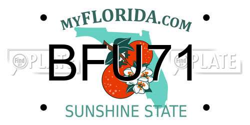 BFU71 Florida License Plate