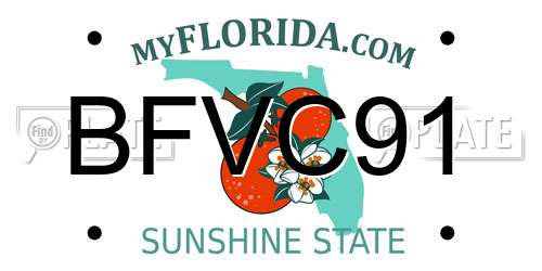 BFVC91 Florida License Plate