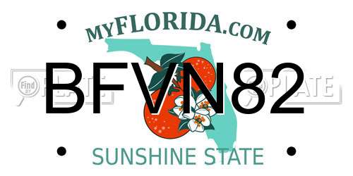 BFVN82 Florida License Plate